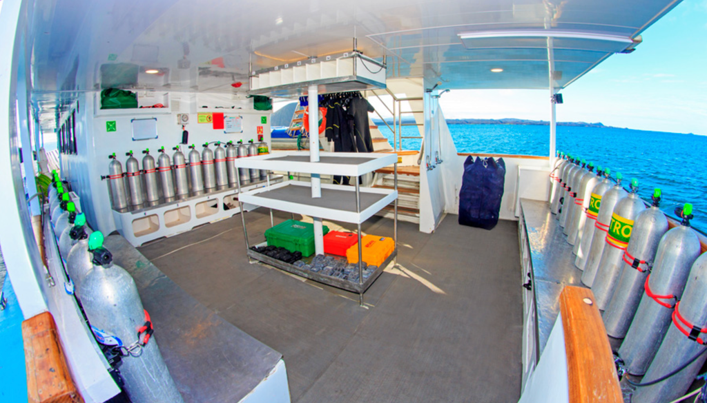 espace plonger